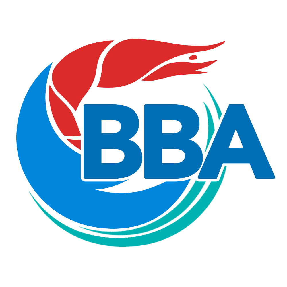 We are BBA - YouTube
